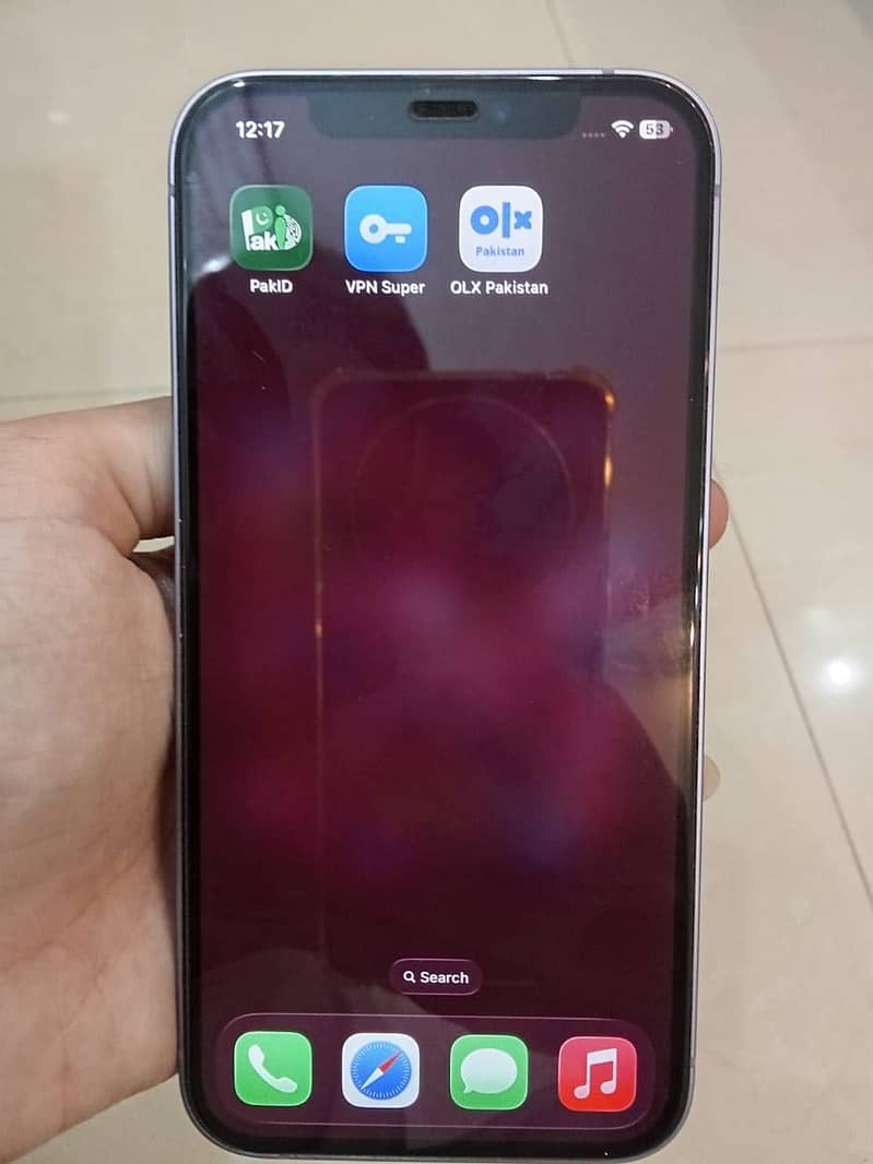 Apple iPhone 12 1