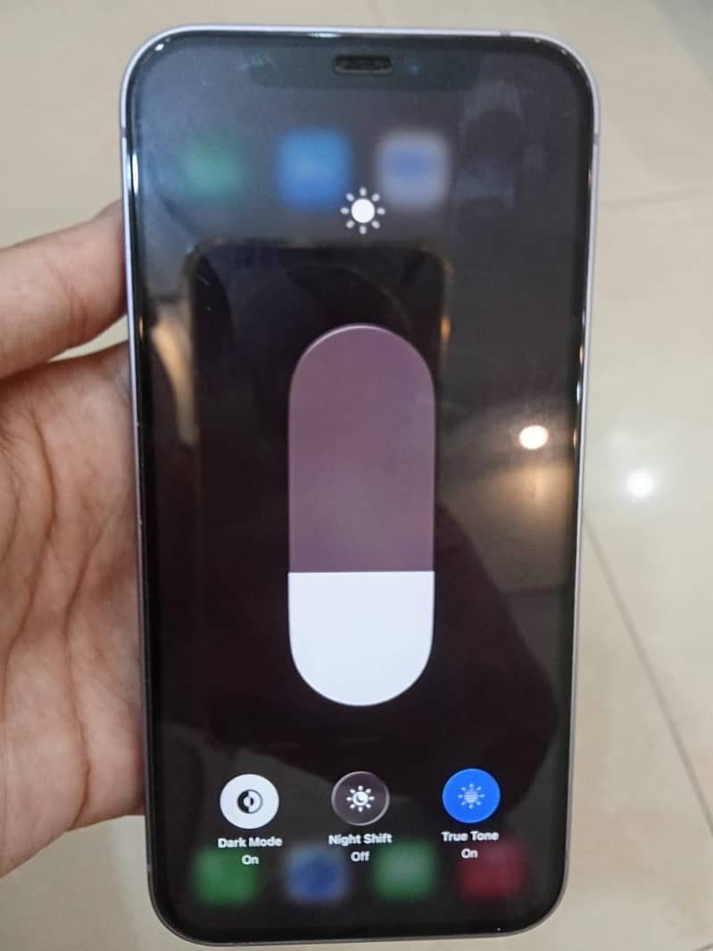 Apple iPhone 12 2