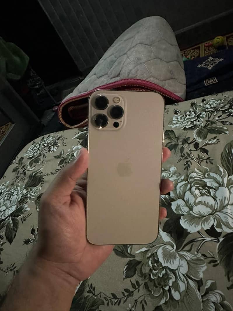 Apple iPhone 12 Pro Max 0
