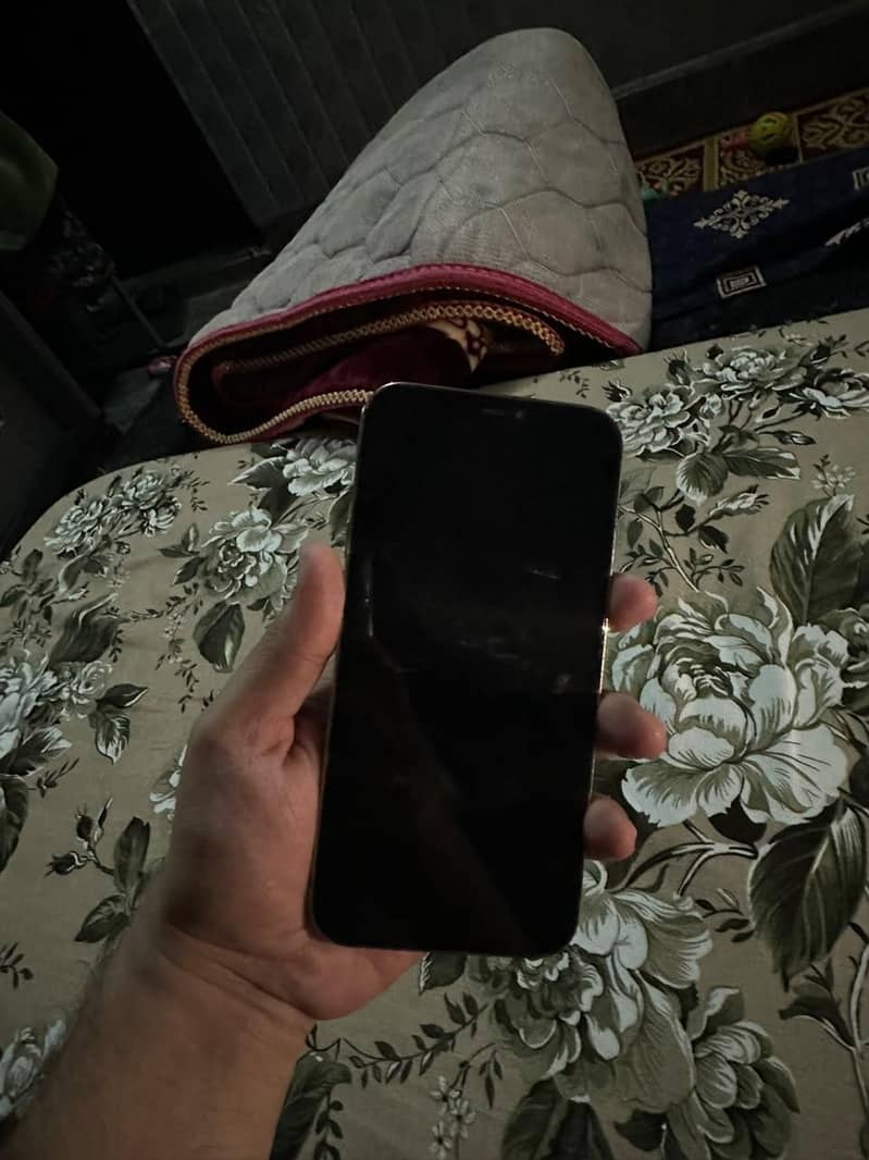 Apple iPhone 12 Pro Max 1