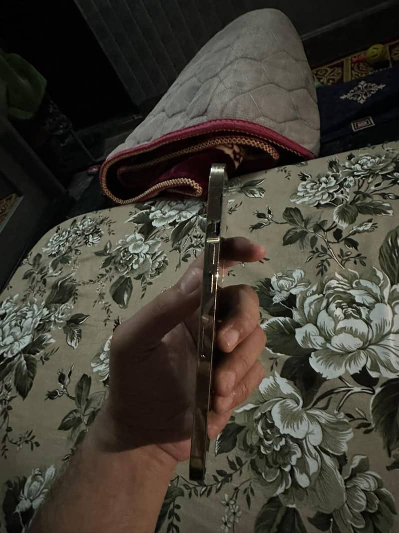 Apple iPhone 12 Pro Max 4