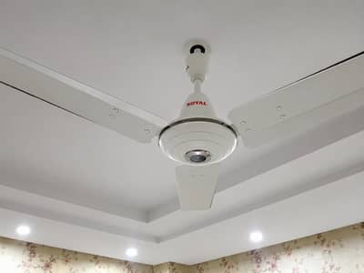 Royal fan for sale  4 used  fan