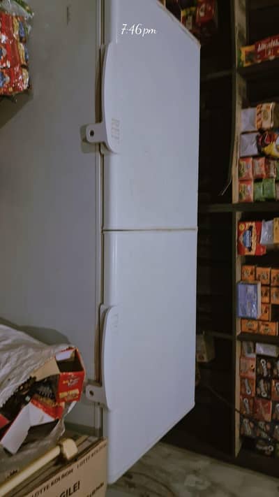 haier freezeer 2 door large size 10/8