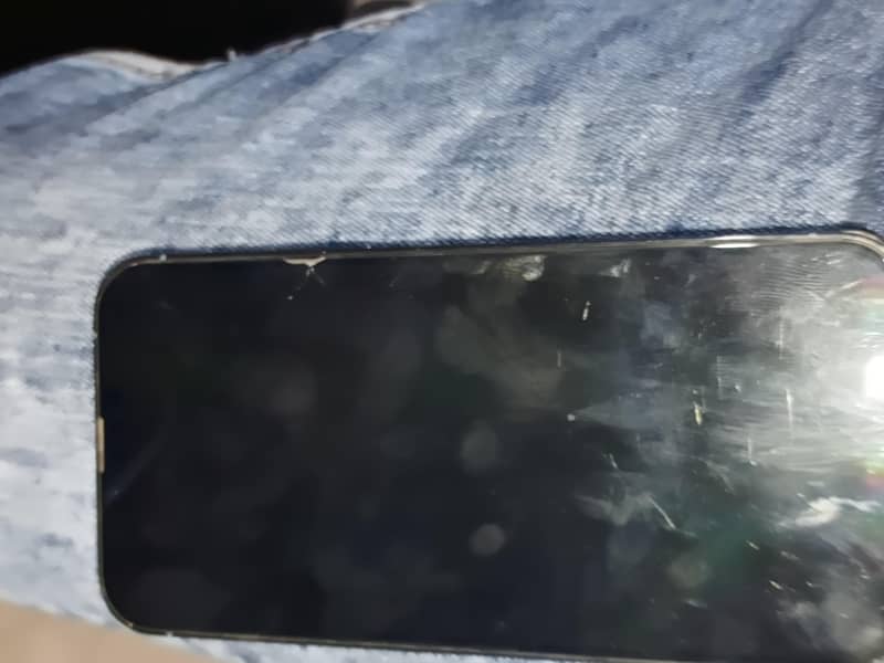Apple iPhone 13 Pro Max 6