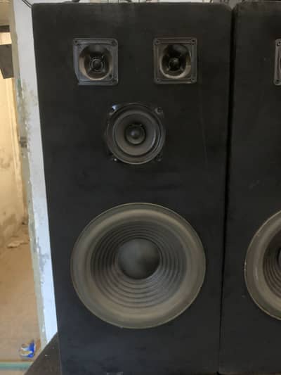 Speakers 10” x2 crystal clear sound yolo original