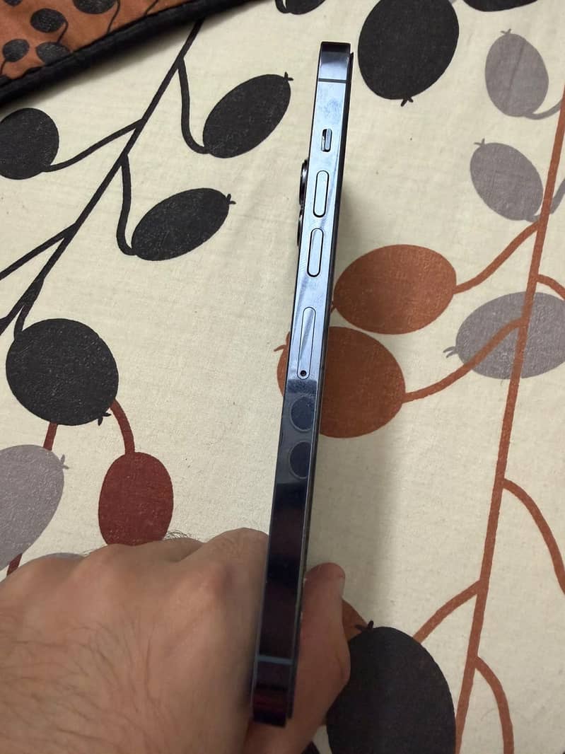 Apple iPhone 13 Pro Max 3