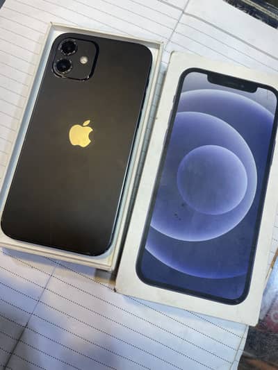 Apple iPhone 12