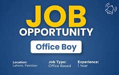 Office Boy Night Job
