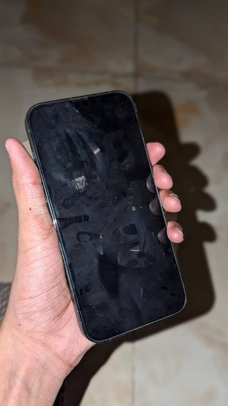 Apple iPhone 13 Pro Max 1