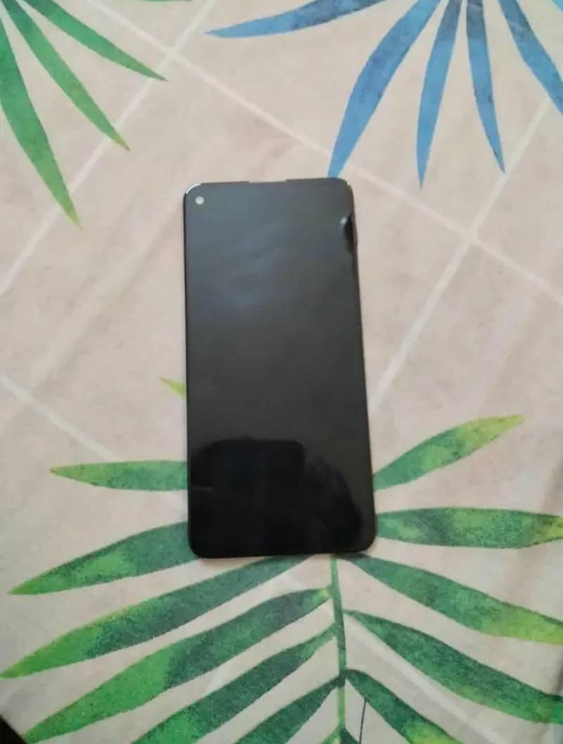 Pixel 4a5g panel 1