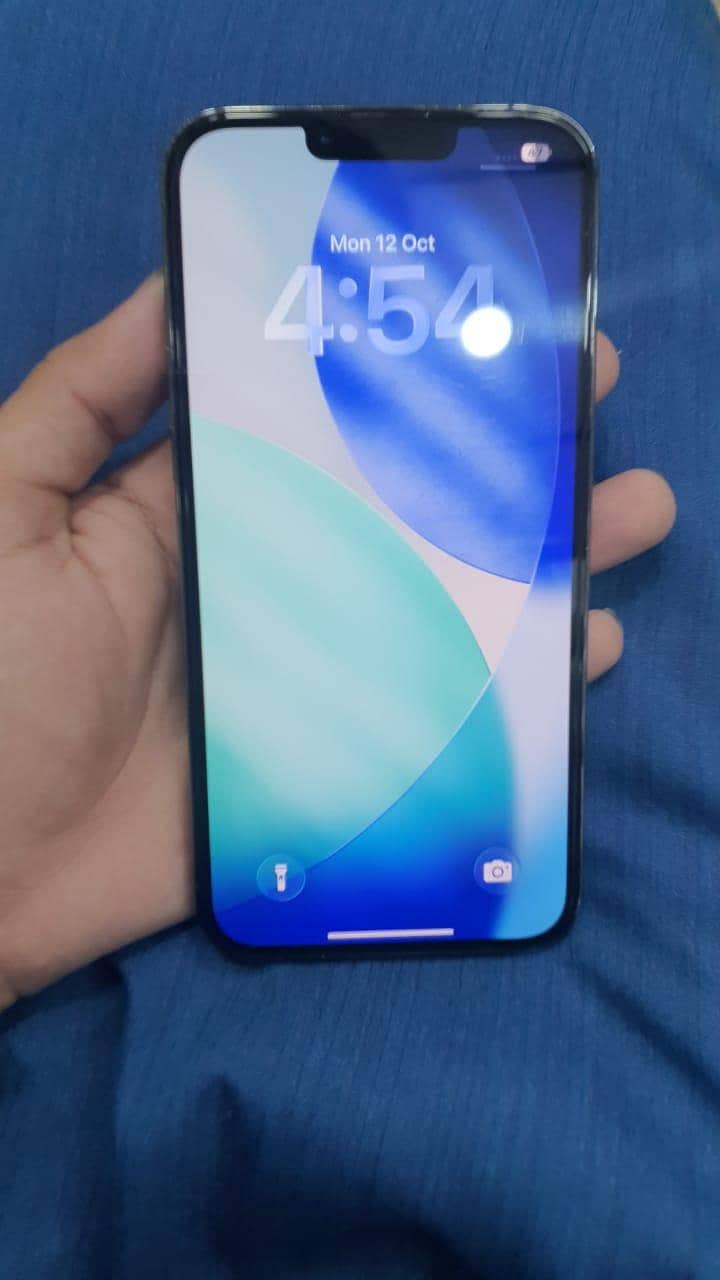 Apple iPhone 13 Pro Max 10