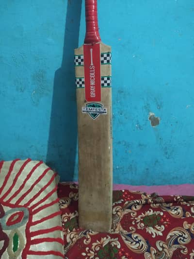 Gray-Nicolls hardball Condition: Used — less than 1 year old
