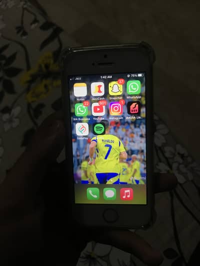 Apple iPhone 5se