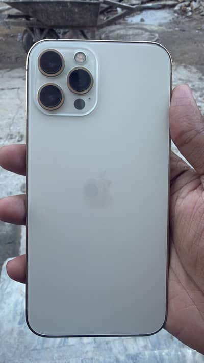 Apple iPhone 12 Pro Max