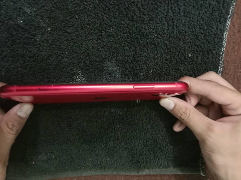 Apple iPhone 11 3