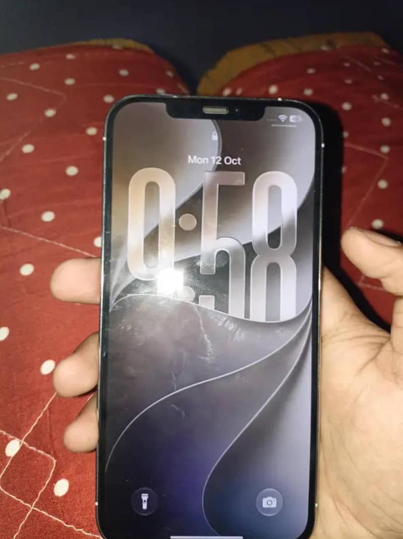 Apple iPhone 12 Pro Max 0