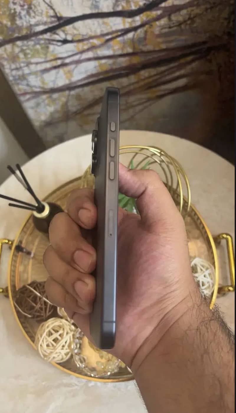 Apple iPhone 15 Pro Max 1