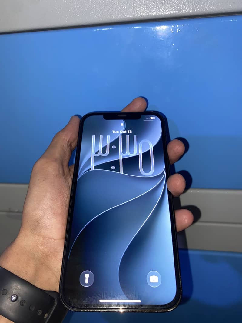Apple iPhone 12 Pro Max 2