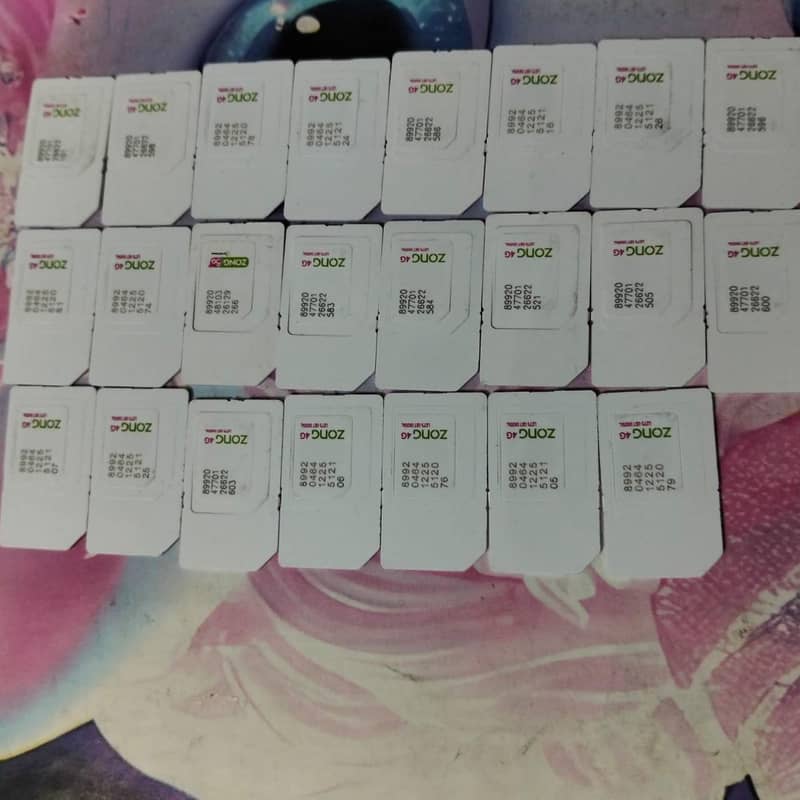 sim zong u 0