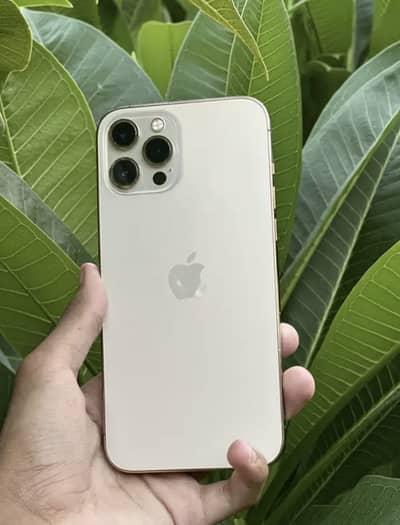 Apple iPhone 12 Pro Max
