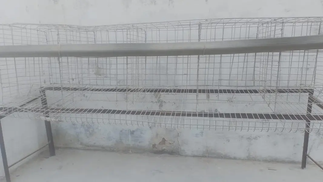 Iron Cage for sale — photo 2