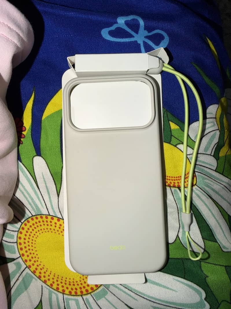 Iphone 17 pro max cases 2