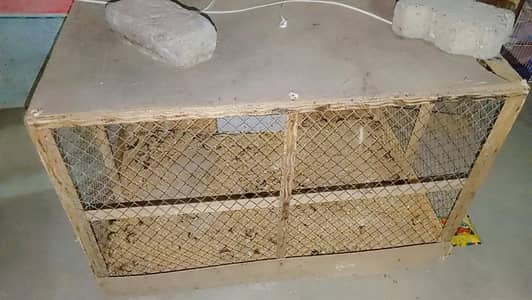 Cage for Sale | Incubator for sale | Cages