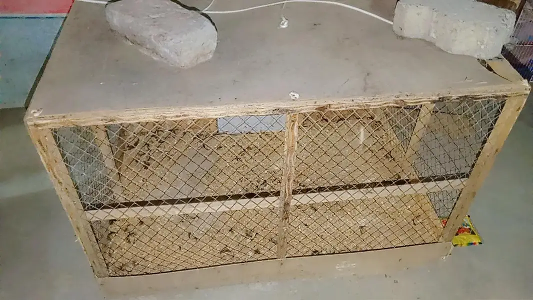 Cage for Sale | Incubator for sale | Cages — photo 2