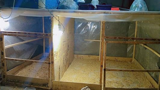 Cage for Sale | Incubator for sale | Cages