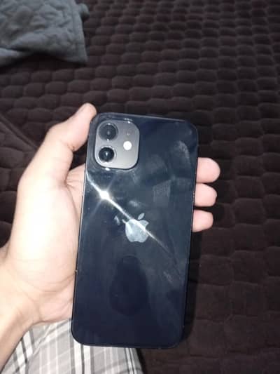 Apple iPhone 12