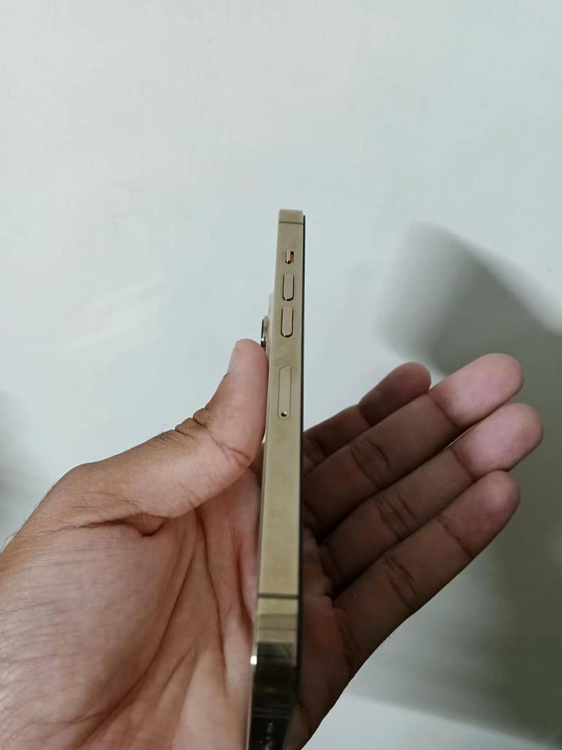 Apple iPhone 13 Pro 4