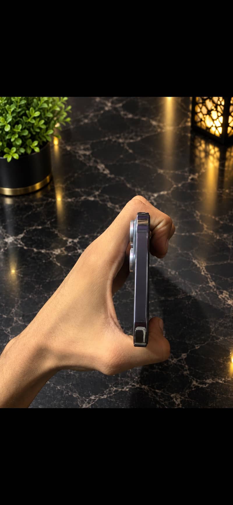 Apple iPhone 13 Pro Max 3