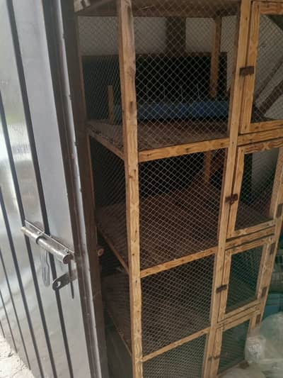 Cage for sale