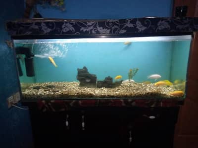 aqurium glass frame and stones only