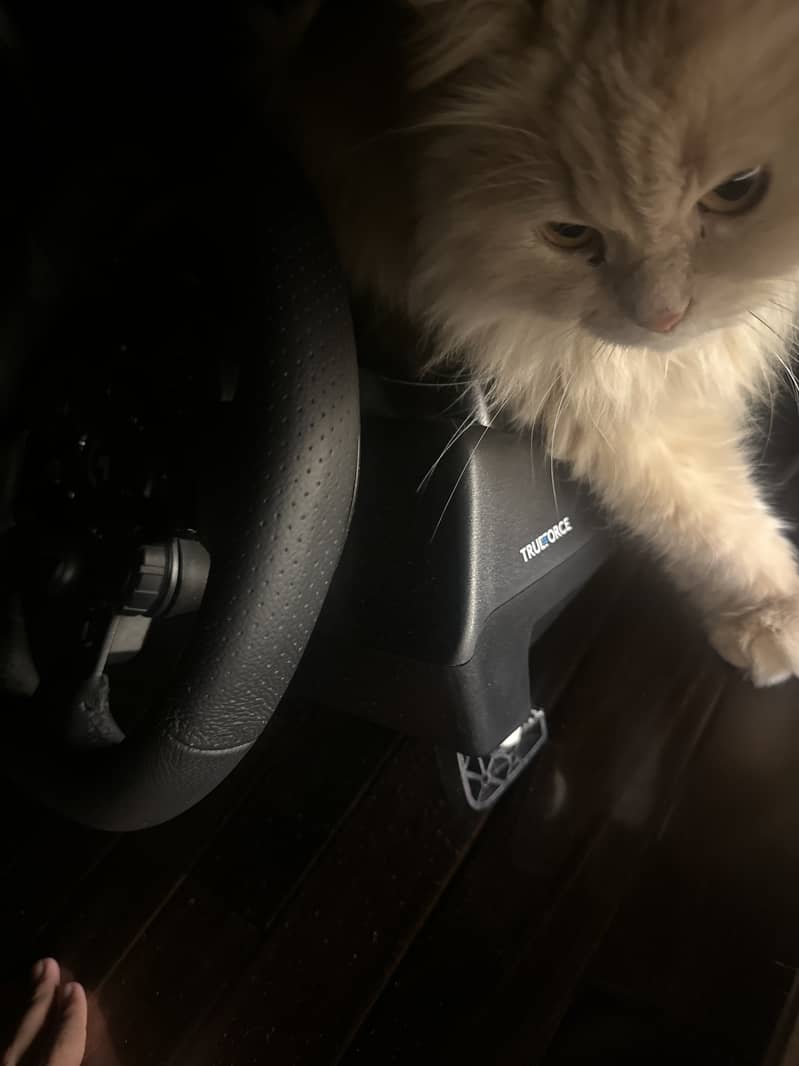 Logitech G923 & Shifter 2