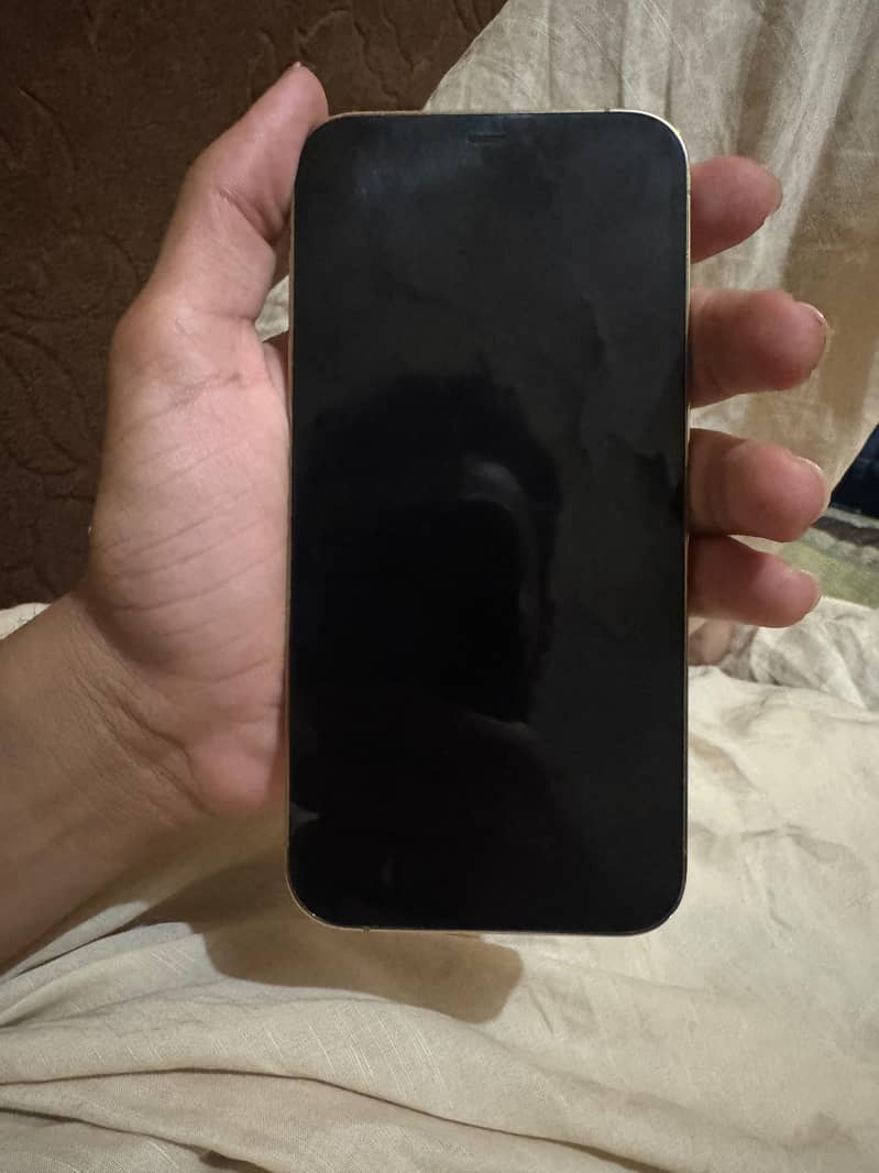 Apple iPhone 12 Pro 1