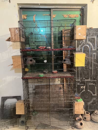 Birds Cage