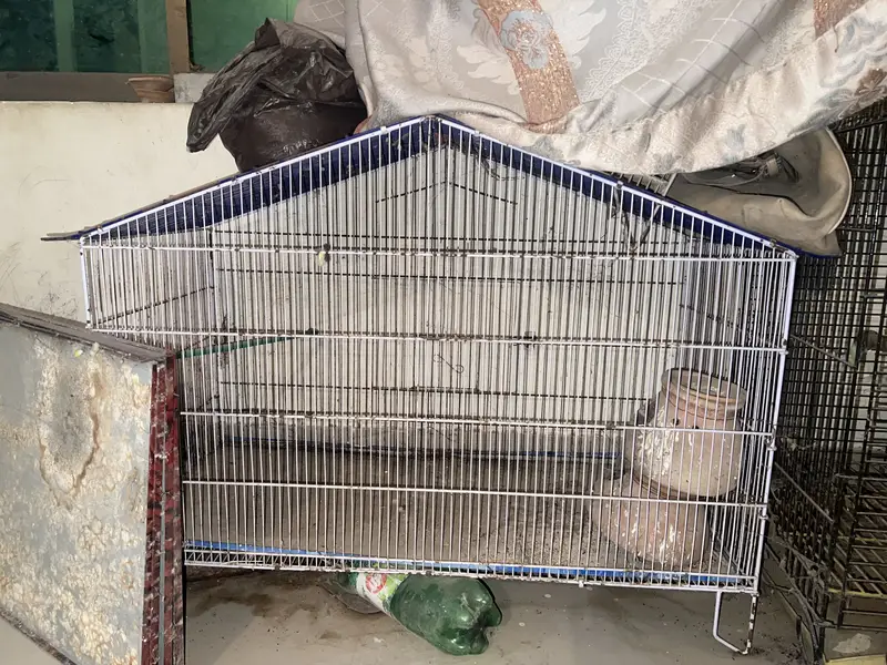 Birds Cage — photo 4