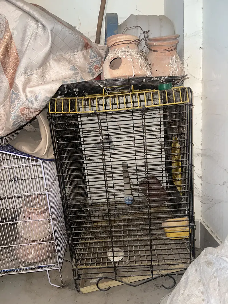 Birds Cage — photo 6