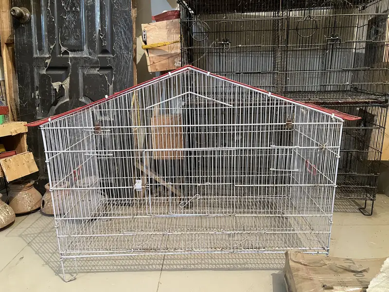 Birds Cage — photo 7