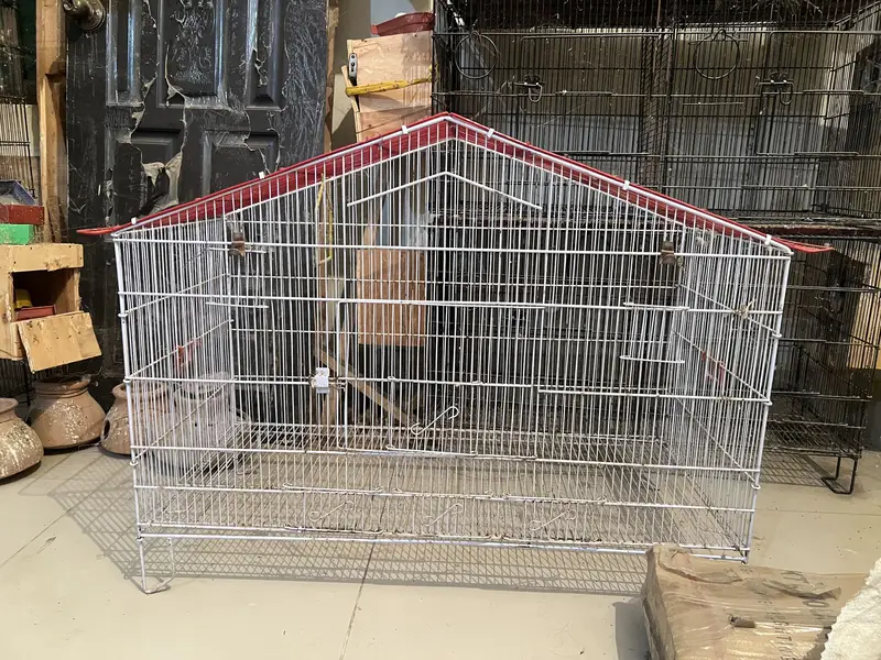 Birds Cage — photo 8