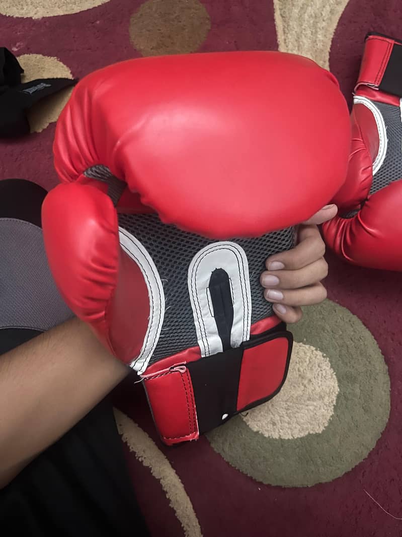 boxing gloves 1