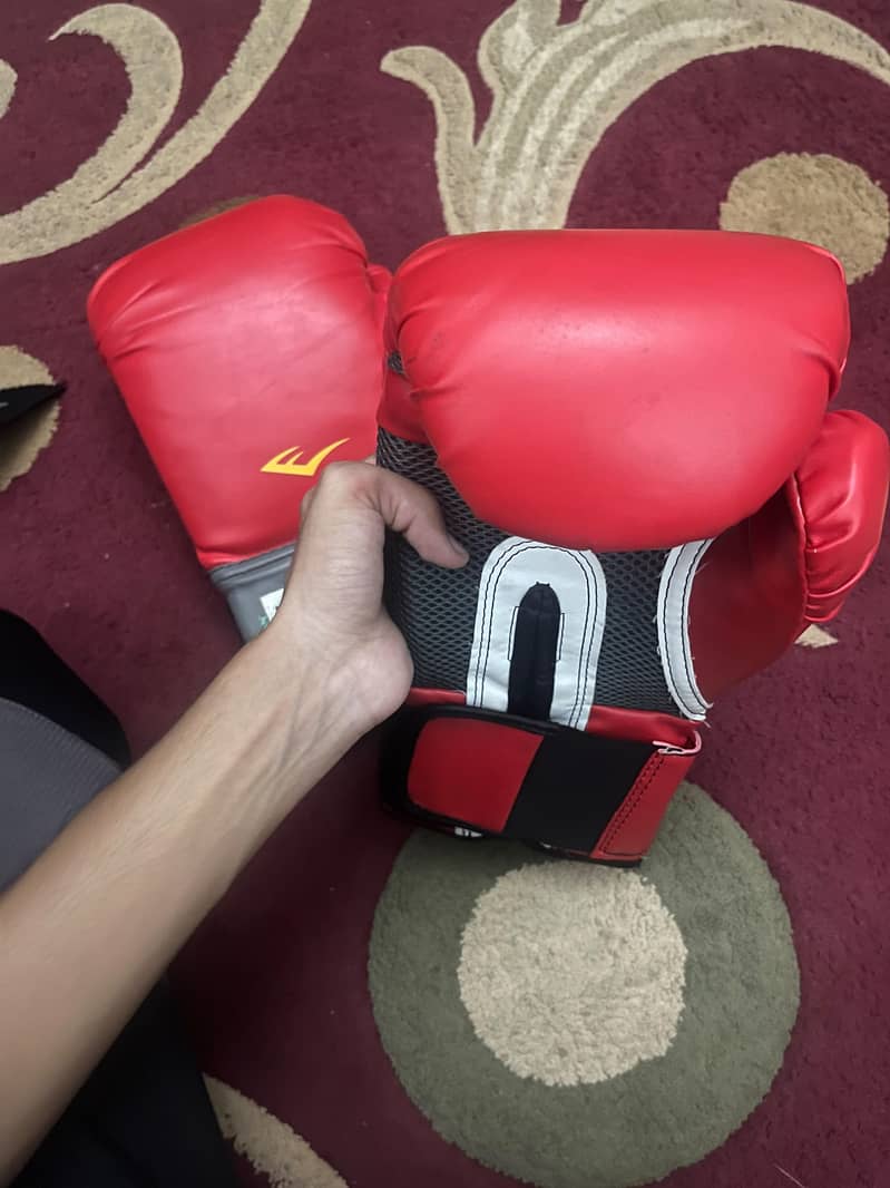 boxing gloves 2