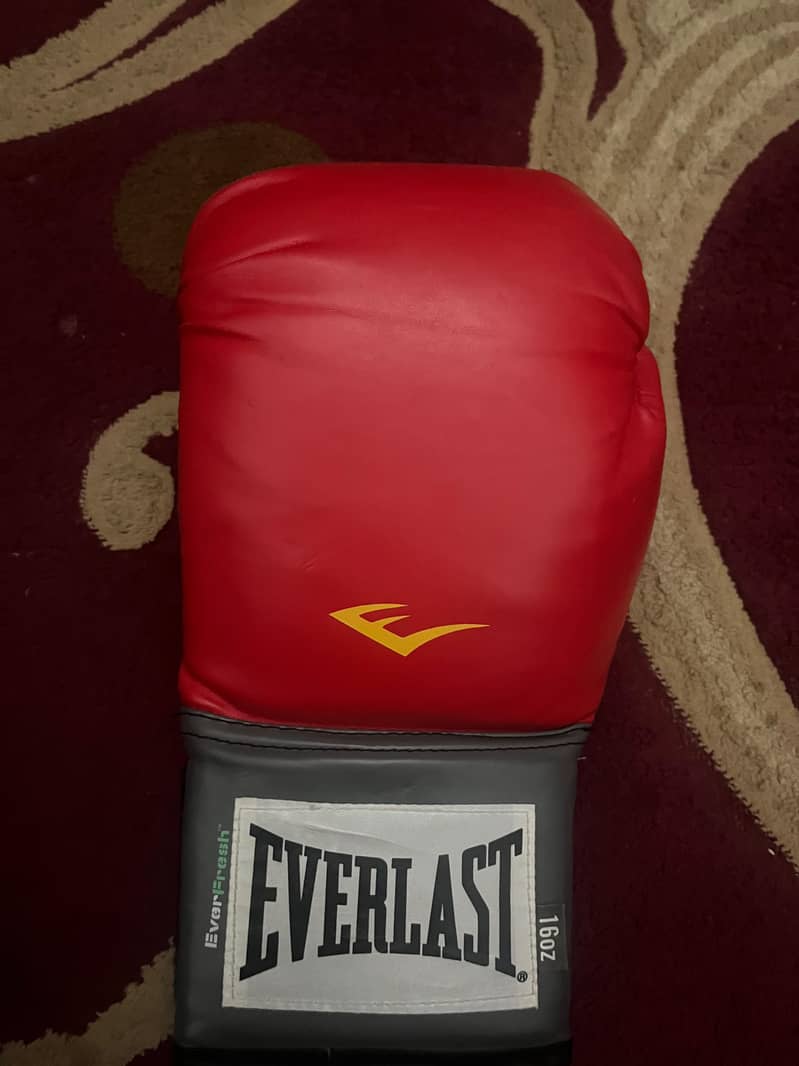 boxing gloves 4