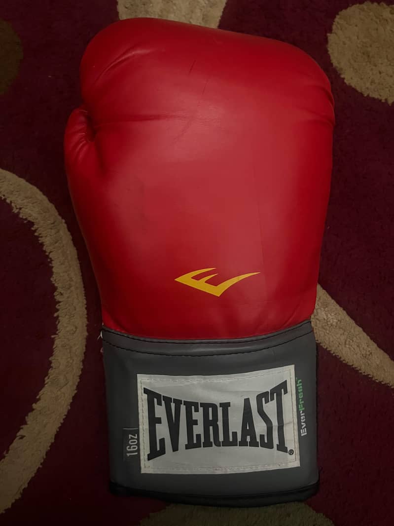 boxing gloves 5