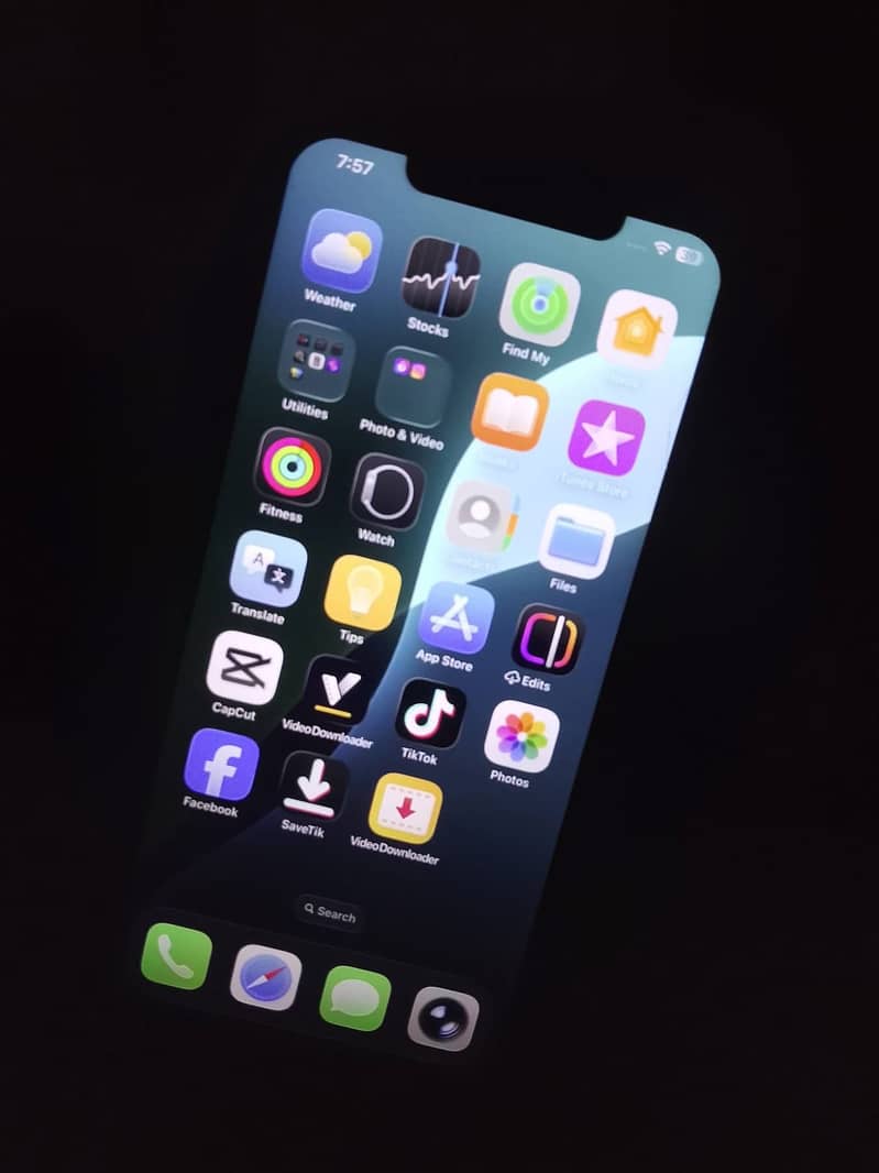Apple iPhone 11 Pro Max 2