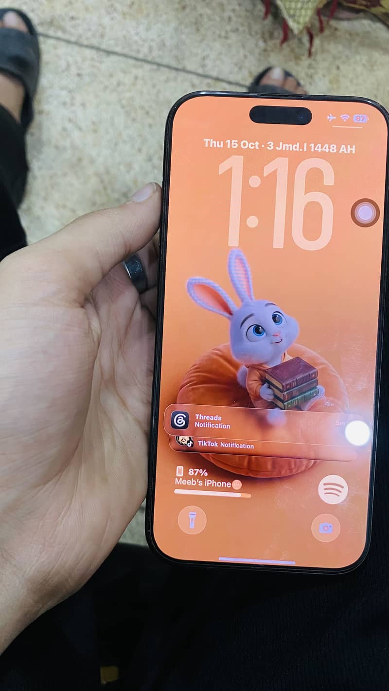Apple iPhone 16 Pro Max 1