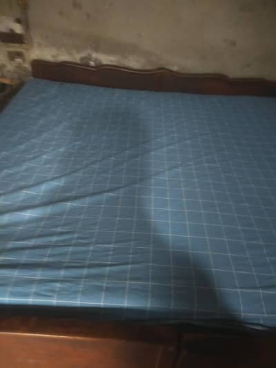 molty foam mattress 8 inch