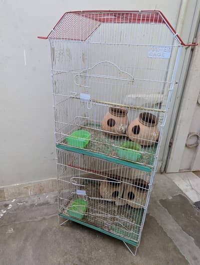 big bird cage