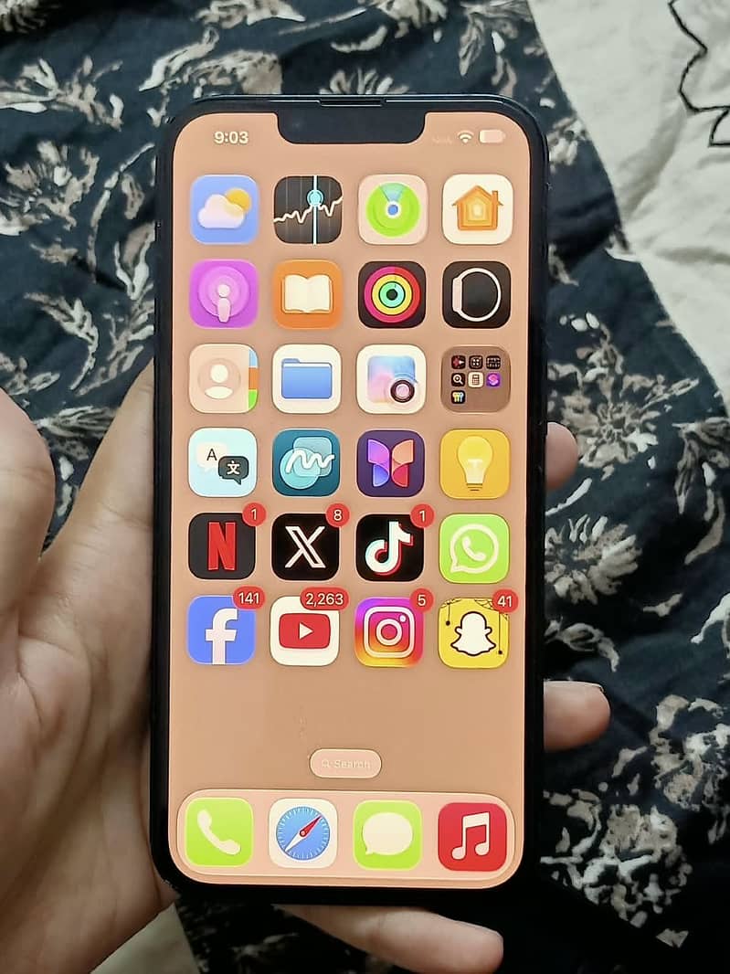 Apple iPhone 13 0